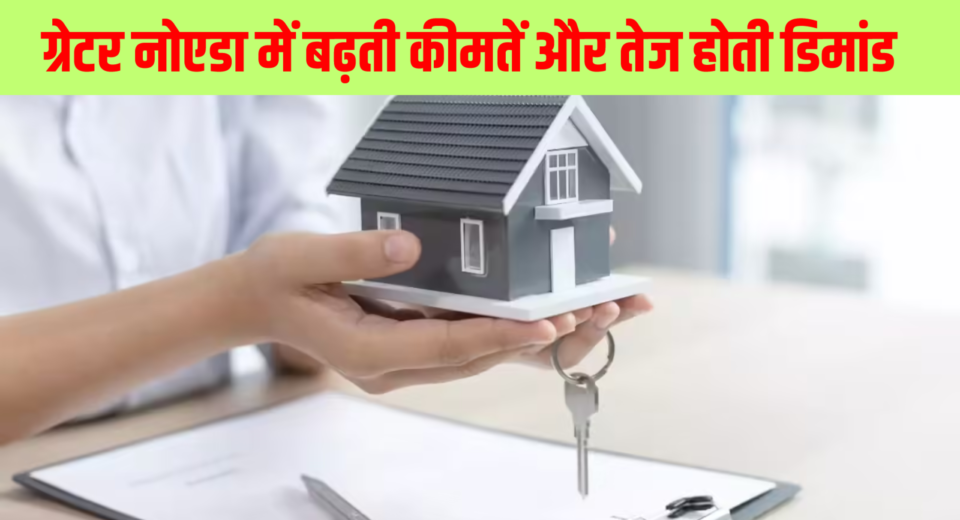 noida Property Boom